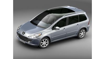 Peugeot 307 estate 3D Model