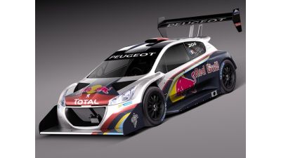 Peugeot 208 T16 Pikes Peak 2013