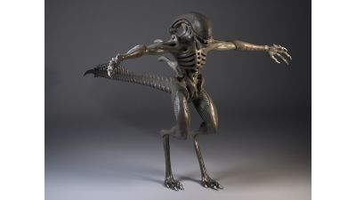 Alien Xenomorph Rigged