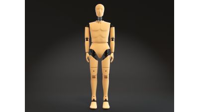 Crash Test Dummy Standing