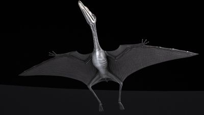 Pterodactylus