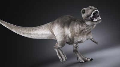 Tyrannosaurus Rex